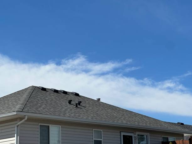 Best Metal Roofing Installation  in New Hackensack, NY